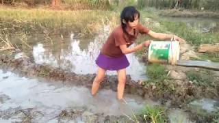 Amazing beautiful girl Fishing in the field in Cambodia- How to Catch Fish at battambang ( part 41)