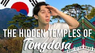 $2 Day Trip from Busan to the MOST ICONIC Temple in Korea, Tongdosa 통도사