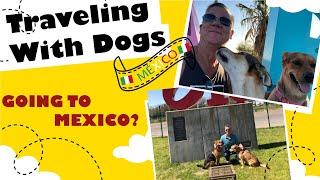 Driving To Mexico With Dogs and Cats During COVID; Everything You Need To Know Be Legal (Subtítulos)