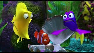 Finding Nemo 2003   Trailer   Family Movie