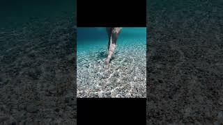 ОТЕКАЮТ НОГИ? Народное средство ВАМ поможет!