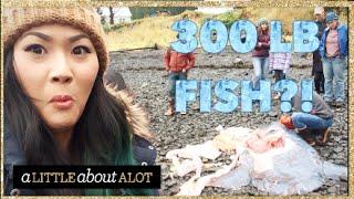 Our Trip to Alaska! |  alittleaboutalot