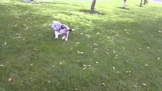 Jugando con Sait en el parque
