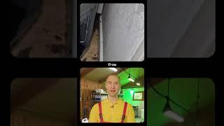 Тараканы в НОВОСТРОЙКЕ на 17 этаже!? Как такое может быть?