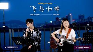 在韩国街头唱中文歌｜任然 - 飞鸟和蝉（中韩版）｜豹子男 x 延普罗｜OUBA MUSIC