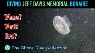 Diving Jeff Davis Memorial Bonaire | The Shore Dive Collection | TropicLens - 4K