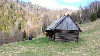 Chata pradziadka w lesie. Nikt tam nie mieszkał przez pół wieku. schronisko bushcraftowe.