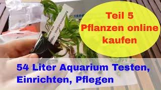 Wasserpflanzen online kaufen. 54 Liter Aquarium  Marina Basic. Testen, Einrichten, Pflegen Teil 5