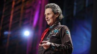 The world needs all kinds of minds - Temple Grandin