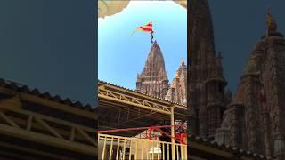 #Jay dwarkadhish #Jay shree Krishna #Radhe radhe 
