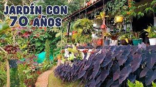 Tour por jardín vivero con mucha variedad de plantas │Candy Bu