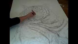 Animal Art | Nature Art| Wildlife Art- Siberian Tiger pencil Sketch