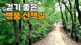  지하철역 5분! 꼭 가봐야 할 도심 속 숲길 명소 수리산 둘레길 함께 걸어요 | 흙길이라 누구나 걷기 좋아요 | 대중교통 당일치기 트레킹 코스 | 서울 근교 여행 코스 추천
