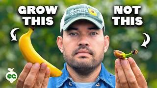 Watch This BEFORE You Grow Bananas 