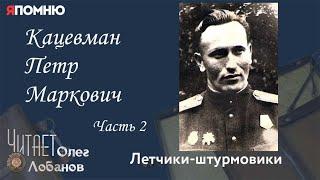 Кацевман Петр Маркович. Часть 2. Кацевман Петр Маркович Летчик штурмовик