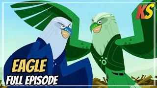 wild kratts - The fuorth Eagle  - full episode in English - #krattsseries #wildkratts