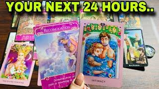 Hindi-Urdu | Your Next 24 Hours | Timeless Tarot 🩷⭐️