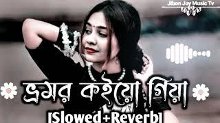 ভ্রমর কইয়ো গিয়া (Bhromor / Surojit / Radharaman Dutta / Prince Sohan - Official Lyrics Video