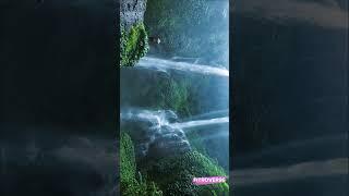 Sekumpul Waterfalls Bali 2023 #bali #baliindonesia #sekumpul #youtubeshorts  #travel #traveling