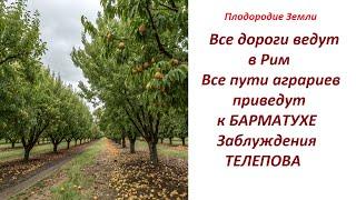 Новости вокруг БАРМАТУХИ / Критика О.Телепова / совет подписчику №700/25