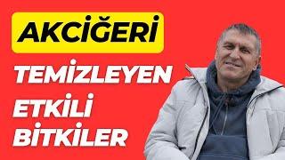 AKCİĞERİ TEMİZLEYEN BİTKİLER I AKCİĞER NASIL TEMİZLENİR I AKCİĞERE İYİ GELEN ÇAYLAR