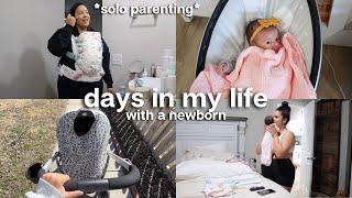 Day in my Life as a New Mom  solo parenting, setting a newborn schedule, newborn day in the life