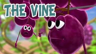 The Vine - Brother Francis 02 clip