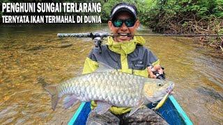 MANCING DI SUNGAI TERLARANG STRIKE IKAN TERMAHAL DI DUNIA - Danz Perdana