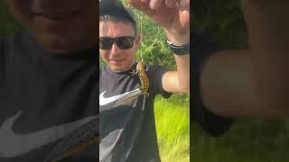 Кто ловил таких же? #рыбалка #fishing #охота #рыбак #nature