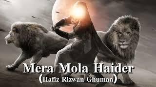 Mera Mola Haider || Hafiz Rizwan Ghuman || noha