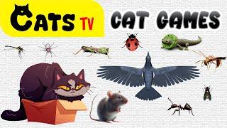 CAT TV | November Ultimate Compilation | Best games for cats with 3D Sound