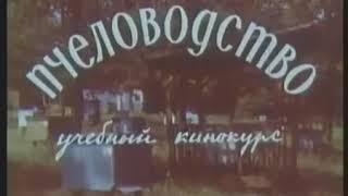 ПЧЕЛОВОДСТВО  СССР 1969 г учебный кинокурс