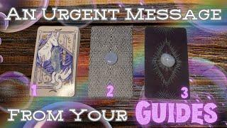 A Conversation With Your Spirit Guides 🪽 | In-Depth Timeless Tarot Pick A Card