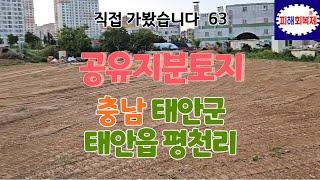 직접 다녀왔습니다. 충남 태안군 태안읍 평천리 공유지분토지 임장 [블로그 - 공유지분토지 매매솔루션, 카페 - 공유지분토지 투자자 모임] 검색!