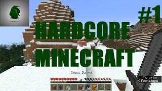 Let's Play Minecraft Episode #1 [The first night]