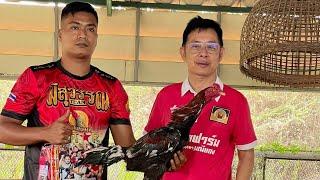 BERKUNJUNG KE FARMNYA OENG DAN MR MANNA DI THAILAND