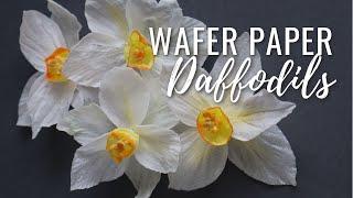 How to Make Wafer Paper Daffodils + free template download. Wafer Paper Friday Ep. 3