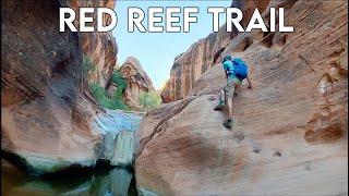 Hiking Red Reef Trail and Prospector Trail Loop | Best Hikes in Southern Utah