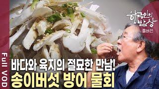 산해진미! 바다의 싱싱한 해산물과 육지 버섯이 만났다! 경북 영덕의 특별한 별미[한국인의밥상 KBS 20161020 방송]