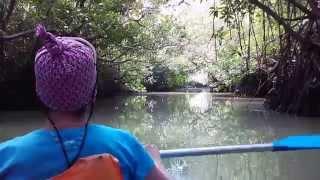 Прогулка на каяке среди мангровых зарослей. Шри-Ланка Тангалла.Sri-Lanka Tangalle.