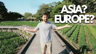 Did we make a mistake leaving Europe for Asia? 6 months living in Japan!