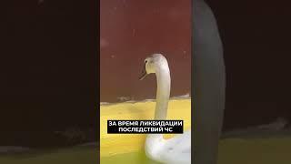 Ямальцы отправятся устранять последствия ЧС в Краснодарском крае #новости #янао