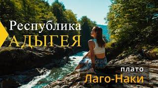 Путешествие в Адыгею на машине, достопримечательности. Плато Лаго-Наки Лагонаки 2023 что посмотреть