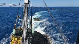 Tuna Fishing Western Pacific Queen Isabella 88 Part Setting (Kapal Purse Seine) Samudra Pacific