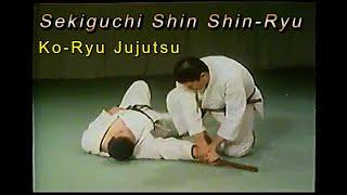 Sekiguchi-Ryu Jujutsu