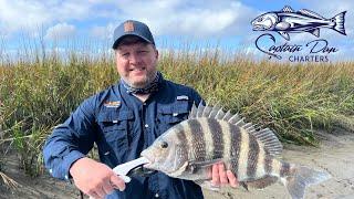 We found the SHEEPHEAD motherload today…. Savannah GA