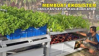 MEMBUAT AQUAPONIK NILA | CIPTAKAN EKOSISTEM UNTUK BUDIDAYA IKAN SAYUR BUAH AYAM SEKALIGUS