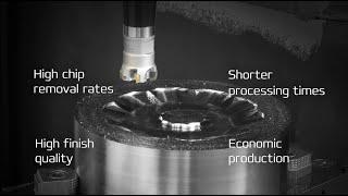 Application in Mould and Die: MultiEdge 2Feed mini | LMT Tools