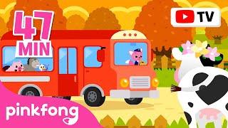 Wheels on the Bus Go Round and Round Compilation | + Car Town | Baby Car | Pinkfong Car Story