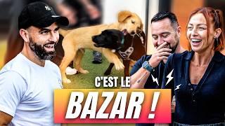 2 Chiots, 1 Chat : À L'AIDE !  ft. @LatelierdeRoxane